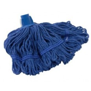 Blue Anti-Bacterial Biofresh Socket Mop 300g