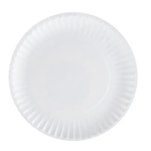 6" White Greenspirit Paper Plates (20x100)
